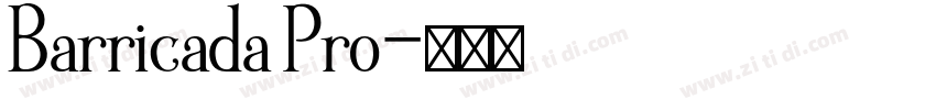 Barricada Pro字体转换